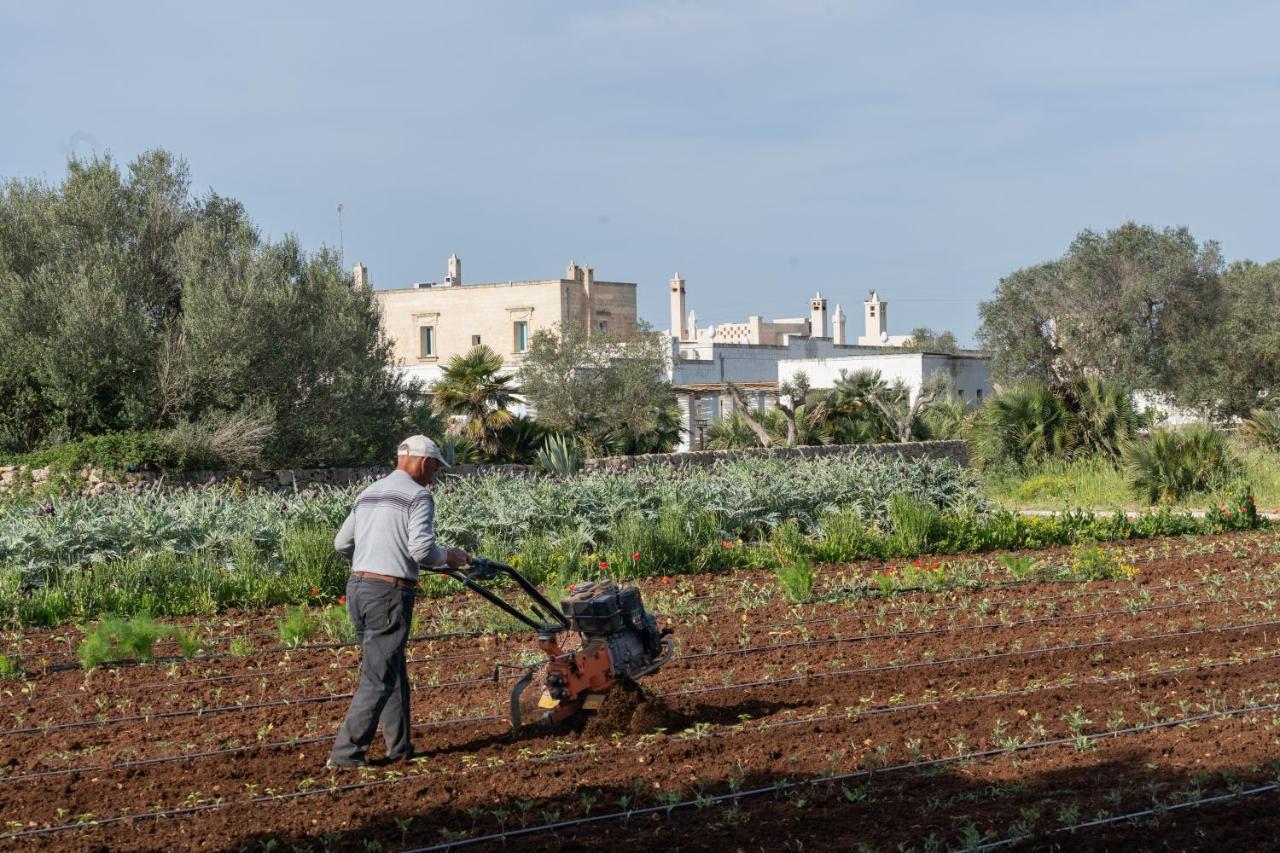 מנדוריה Masseria Palombara Relais & Spa - Adults Only מראה חיצוני תמונה